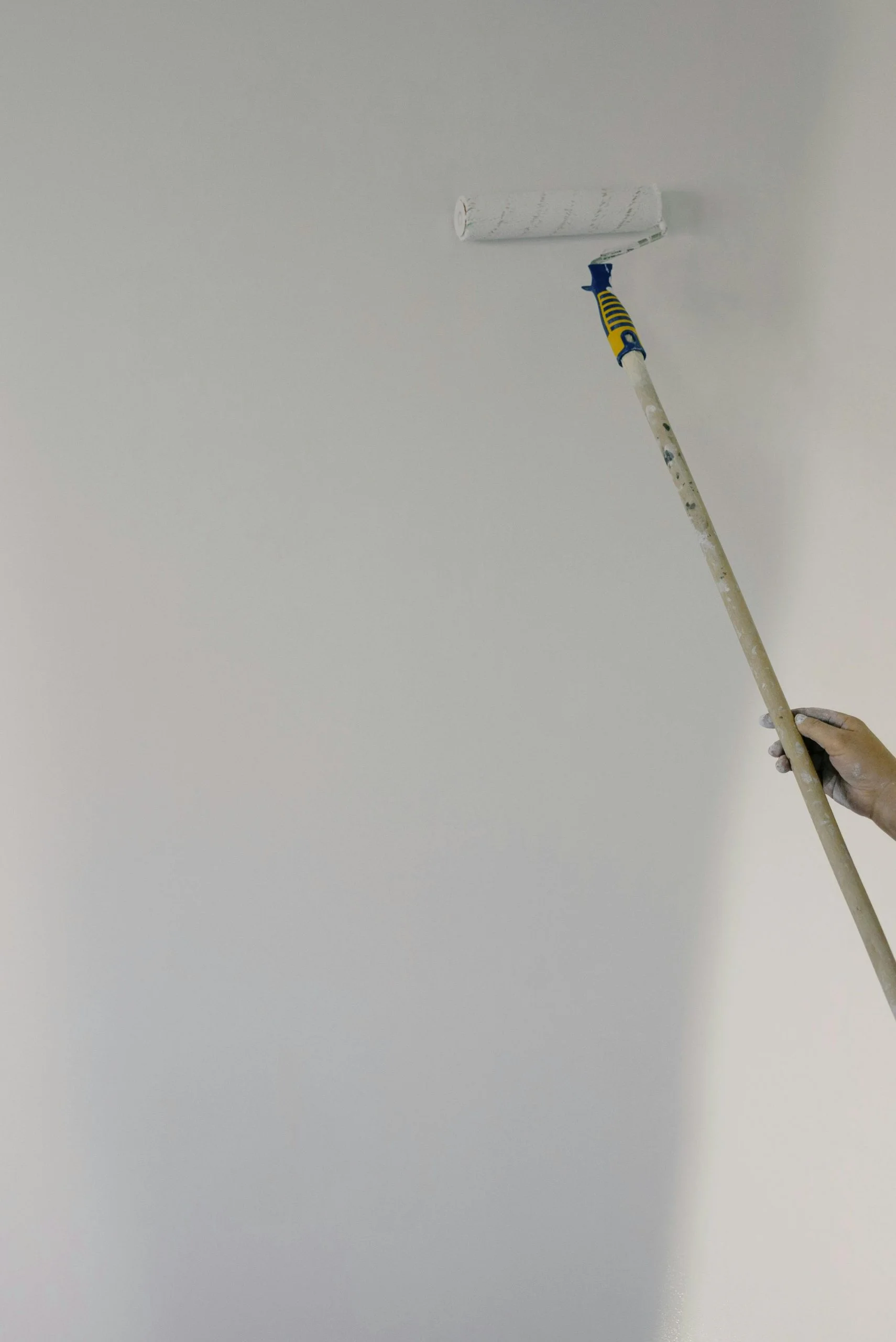Wall Paint