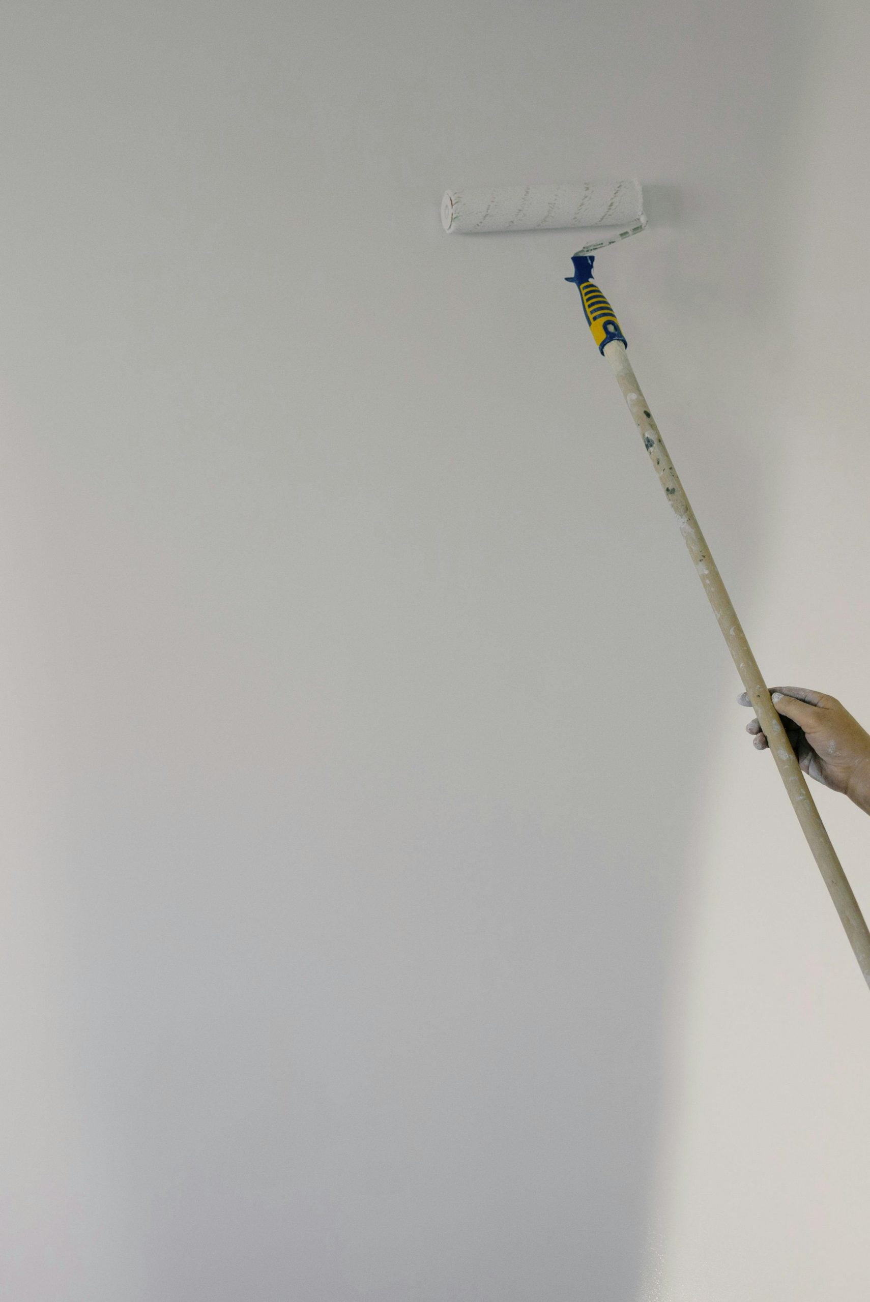 Wall Paint